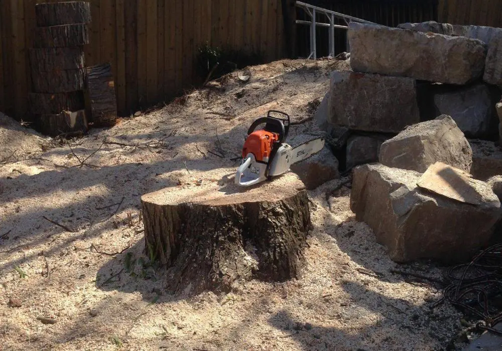A tree stump with a chain saw sitting on top of it.